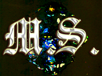 ms logo